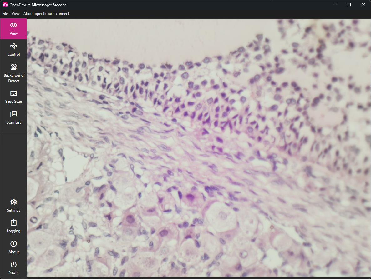The View Tab in the UI for the OFM Server The View Tab in the UI for the OFM Server