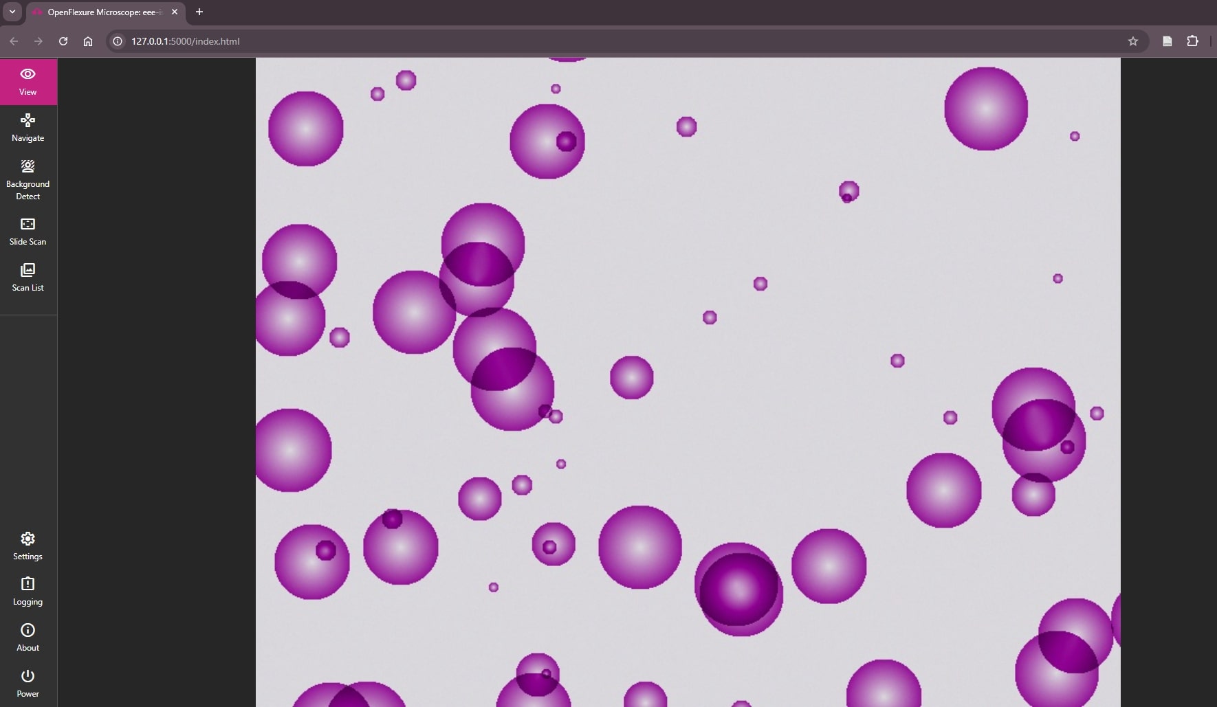The View Tab in the UI for the Simulated Server The View Tab in the UI for the Simulated Server